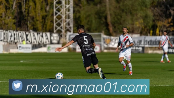 熊猫体育平台生态图