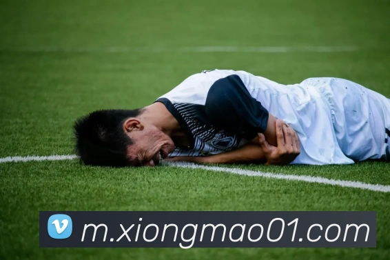 熊猫体育APP 封面图